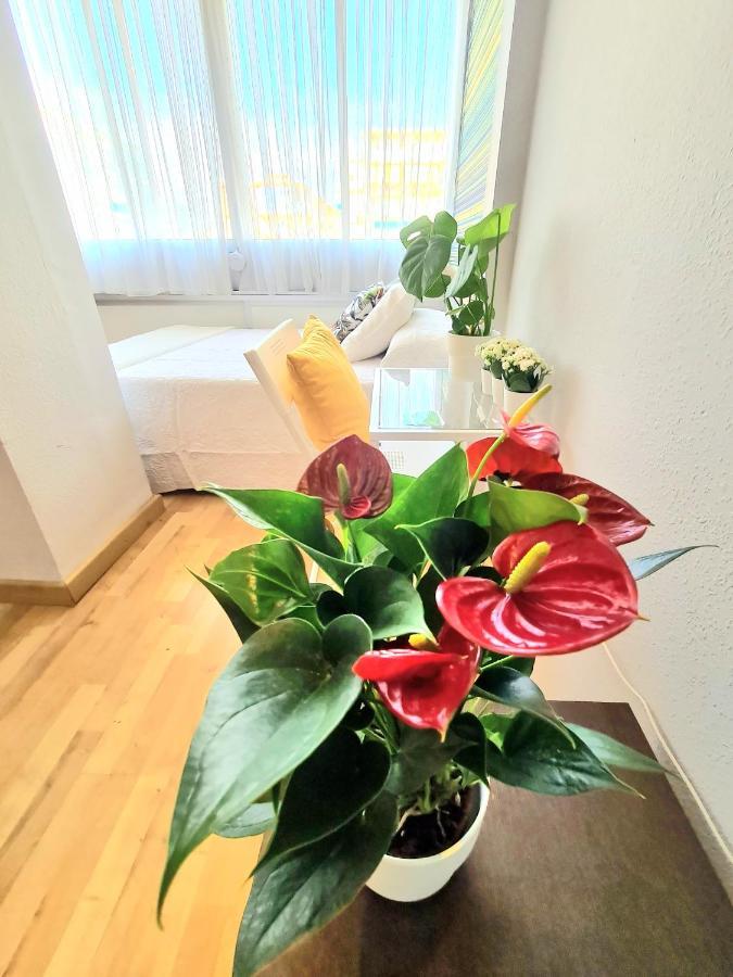 Aa Guest - El Mono De Torre Del Mar Eco Apartment Buitenkant foto